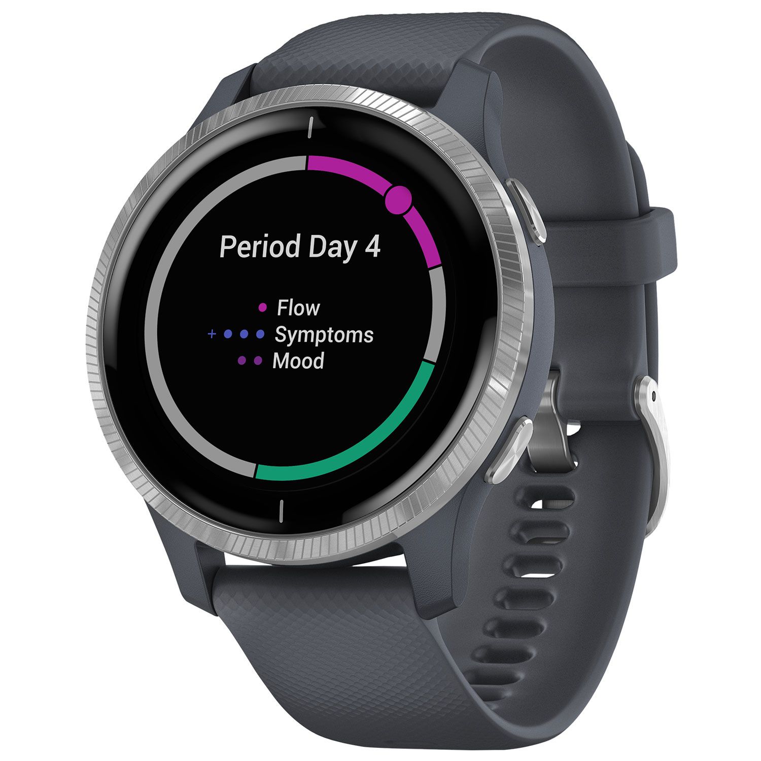 Garmin VENU Granite Blue with Silver