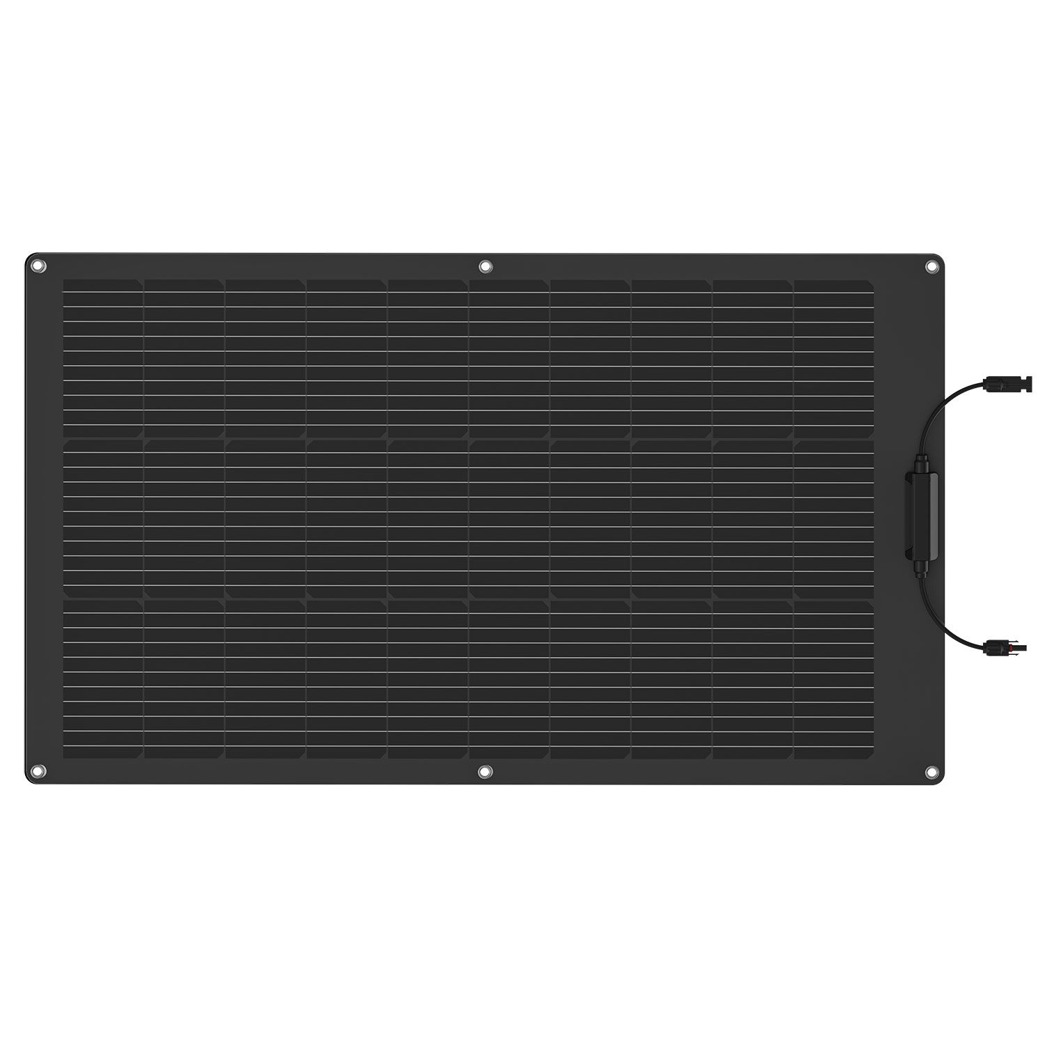 EcoFlow 100W Solar Panel (Flexible)