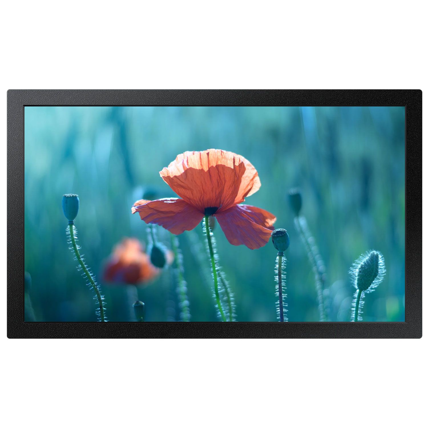 Samsung Digital Signage 13" Small Display QB13R