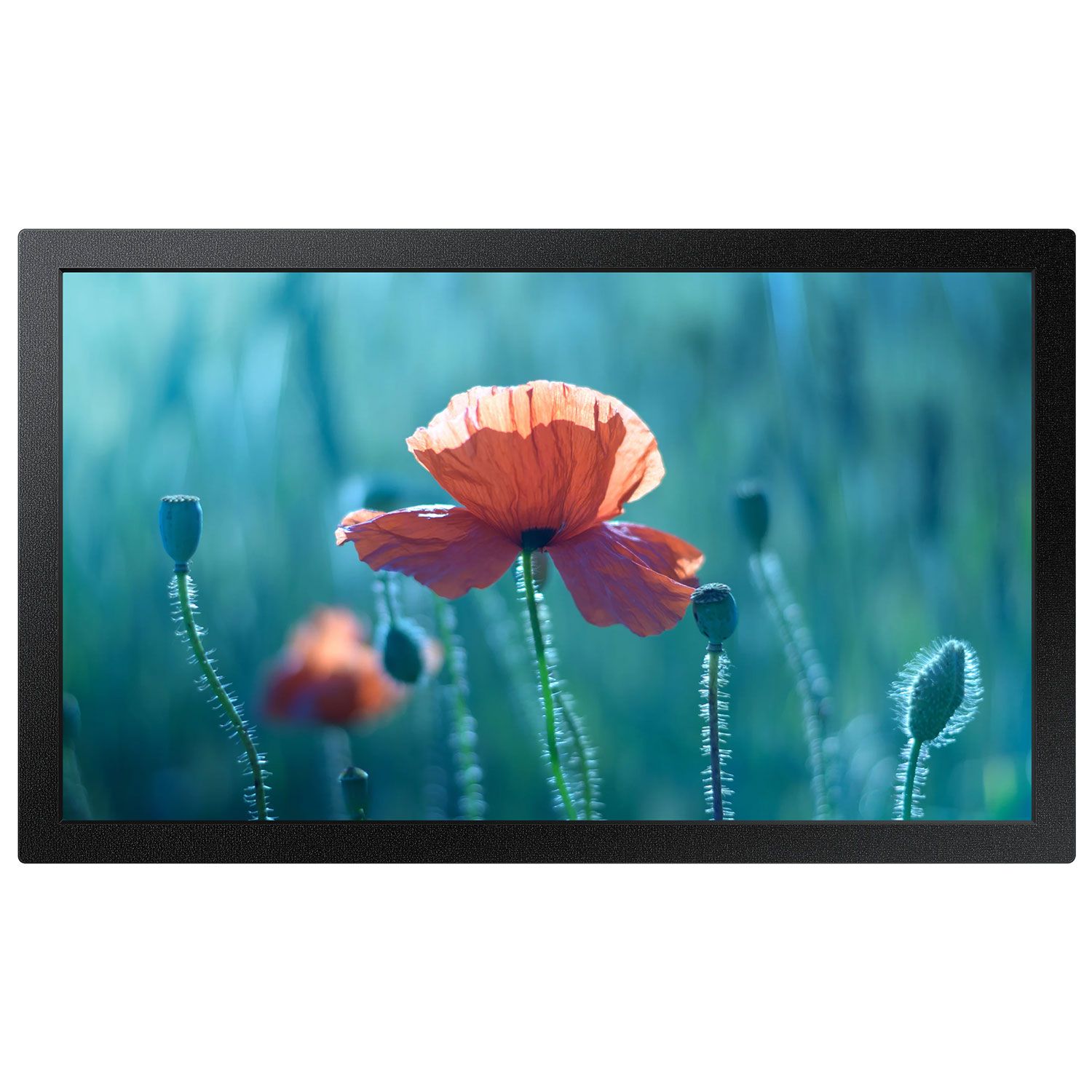 Samsung Digital Signage 13" QB13R-T