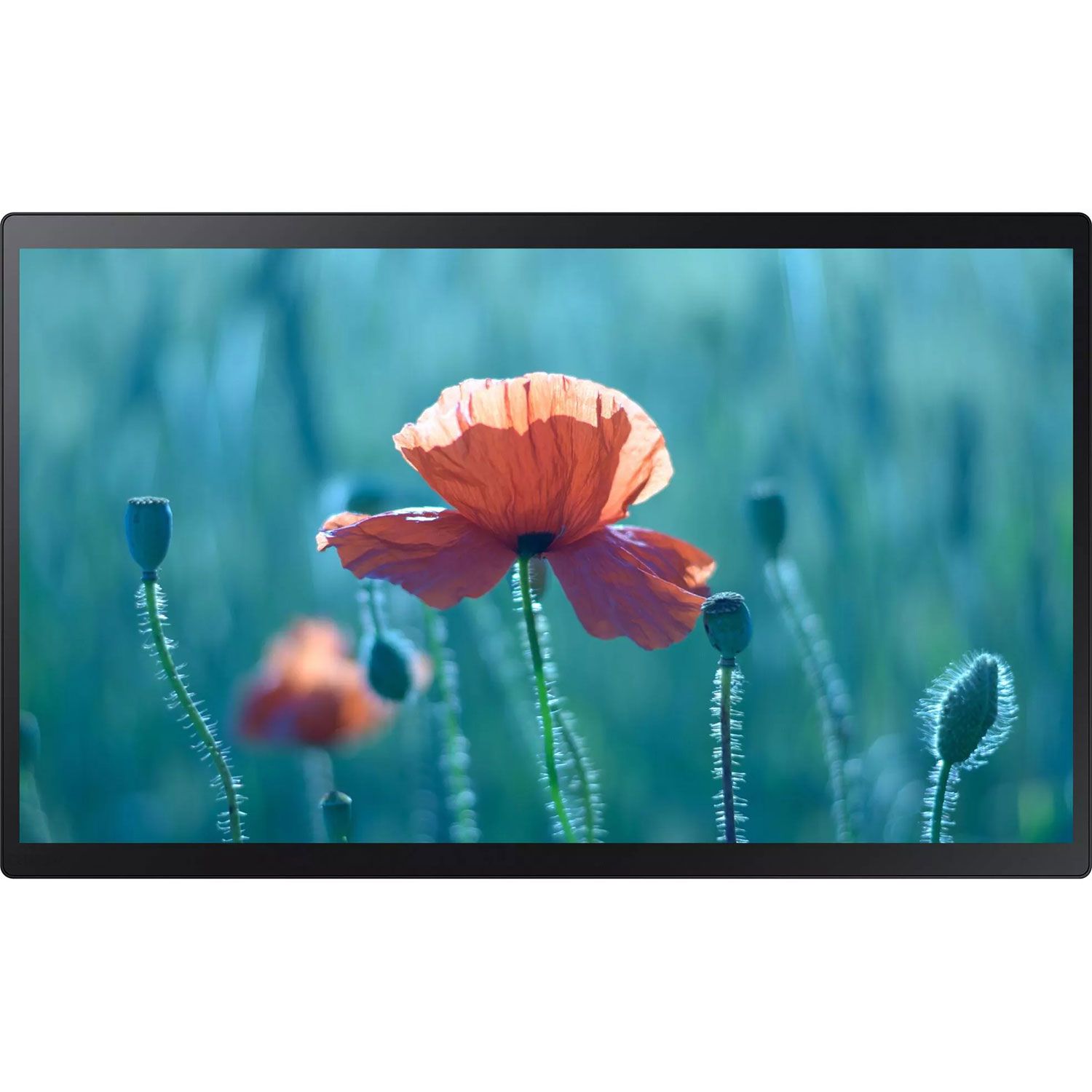 Samsung Digital Signage 23.8" QB24R-TB