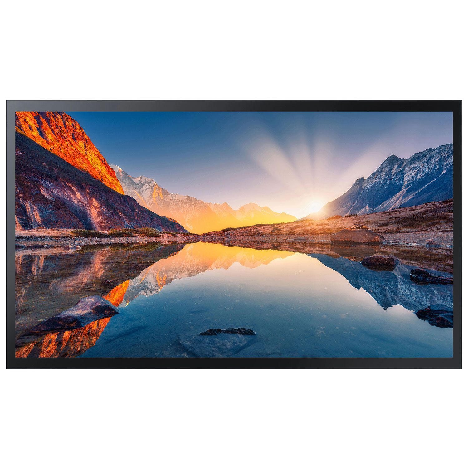 Samsung Digital Signage 43" QM43B-T