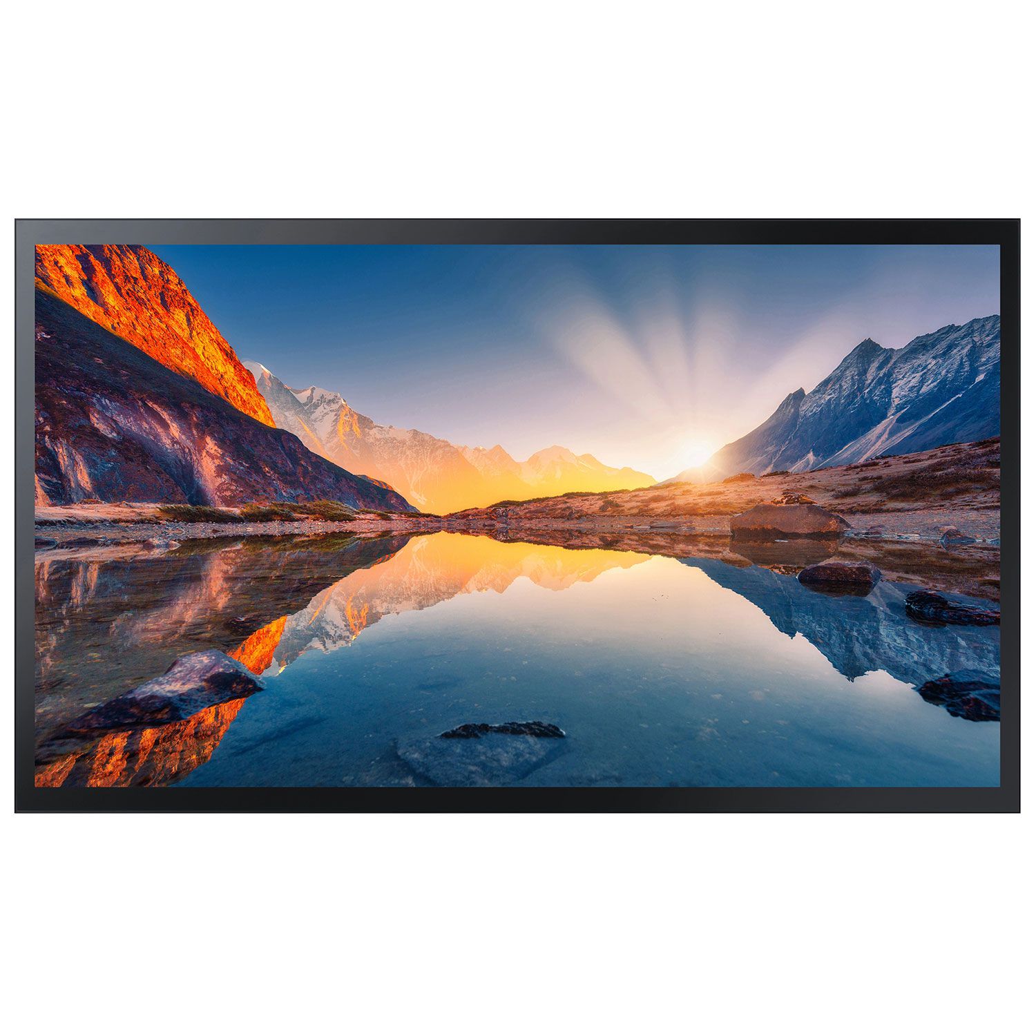 Samsung Digital Signage 55" QM55B-T