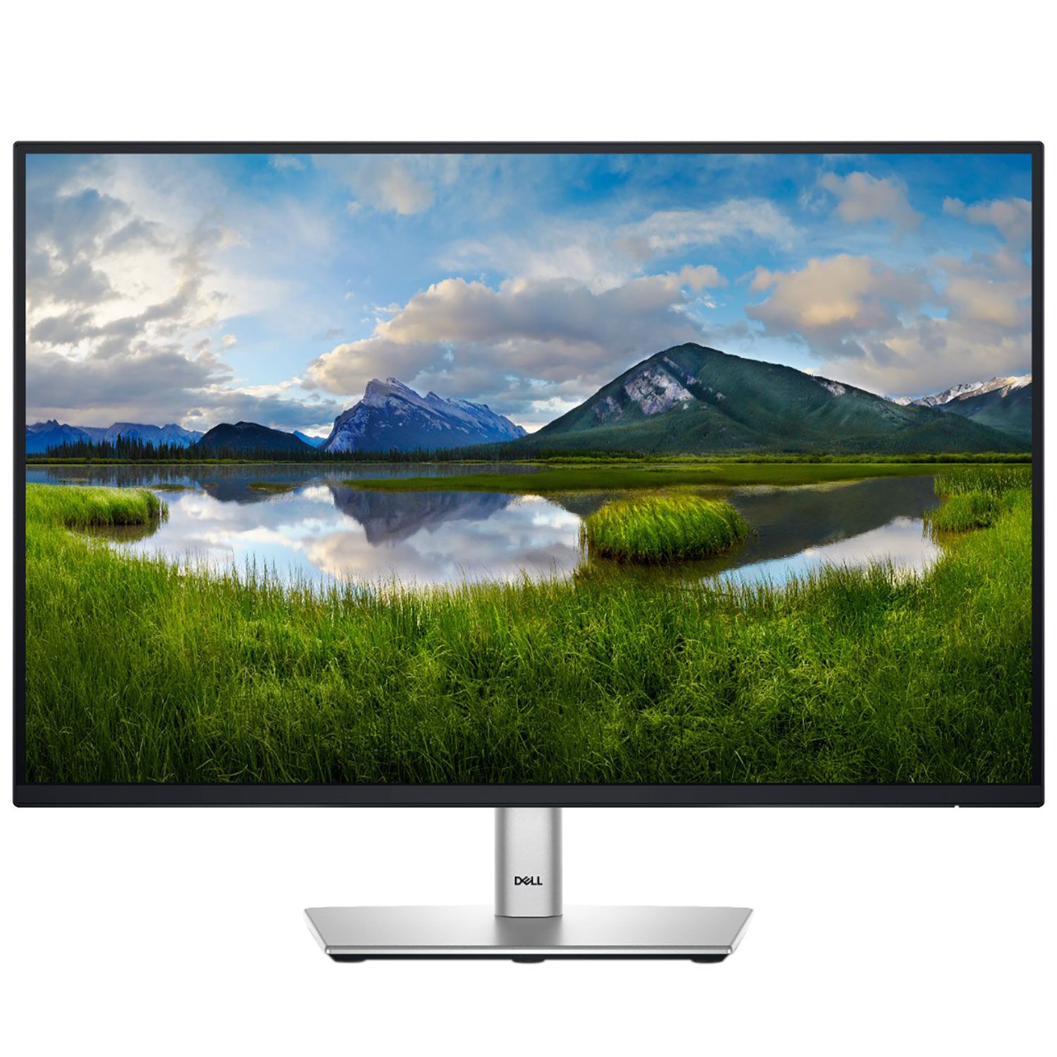 Dell Monitor 24" P2425