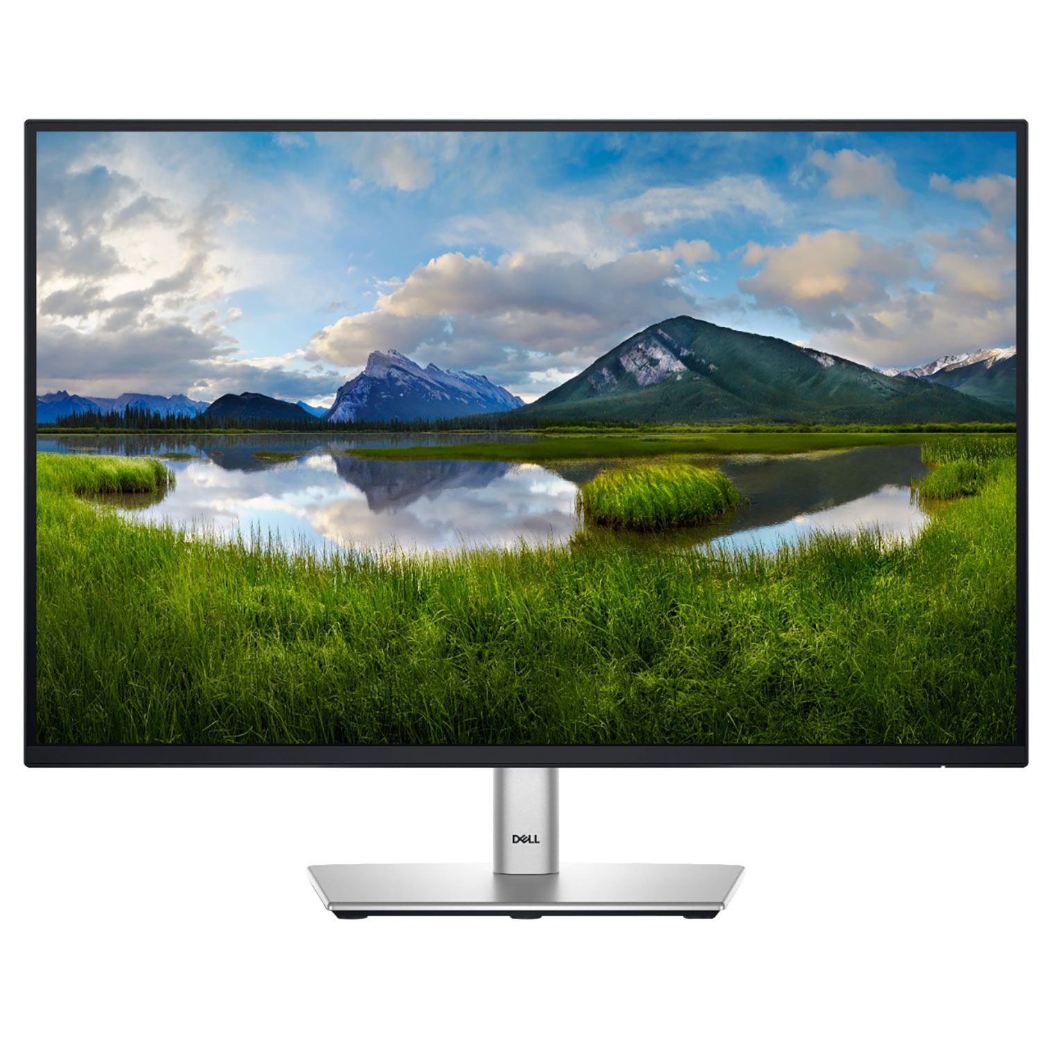Dell Monitor 24" P2425E
