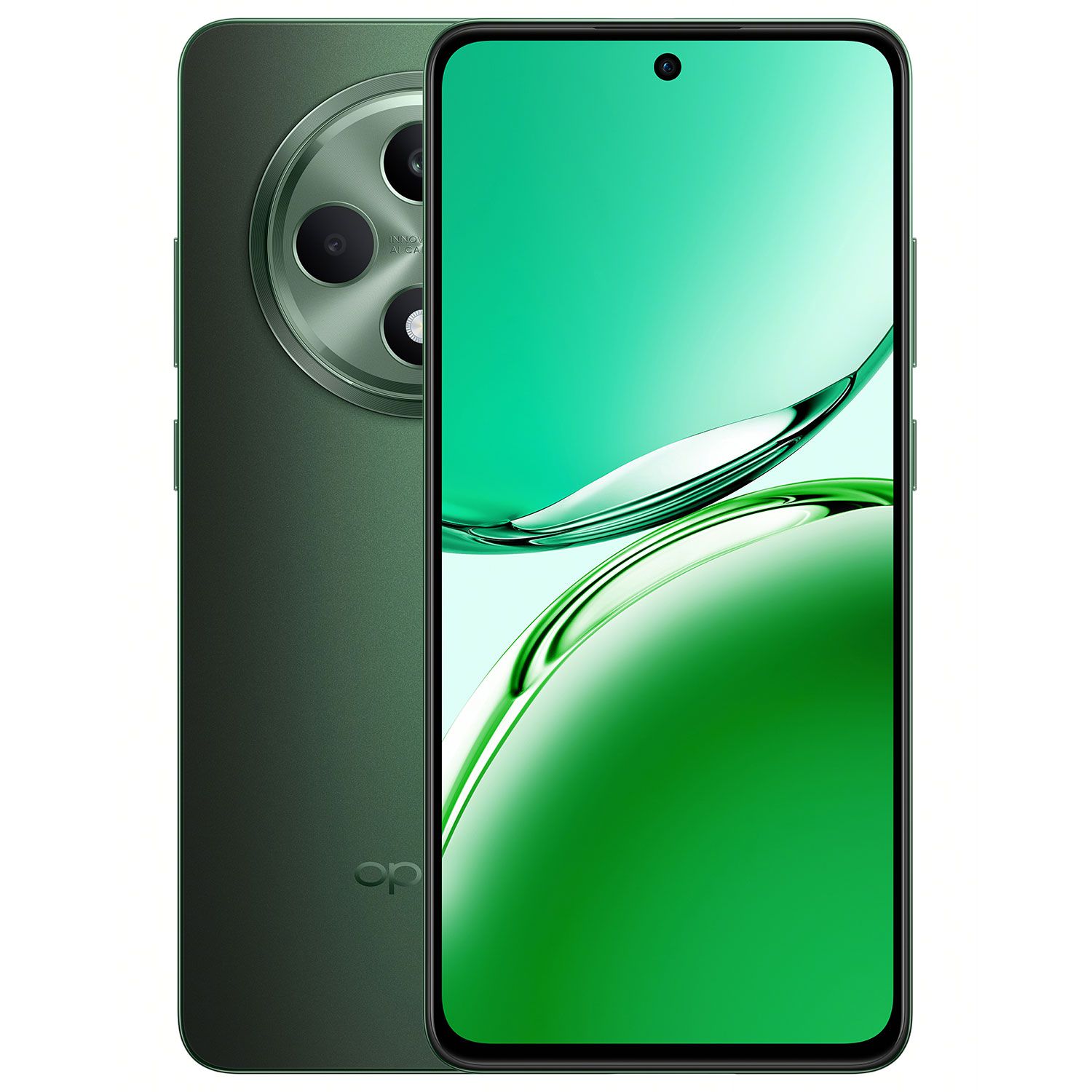 OPPO Reno12 FS 12/512GB Black Green