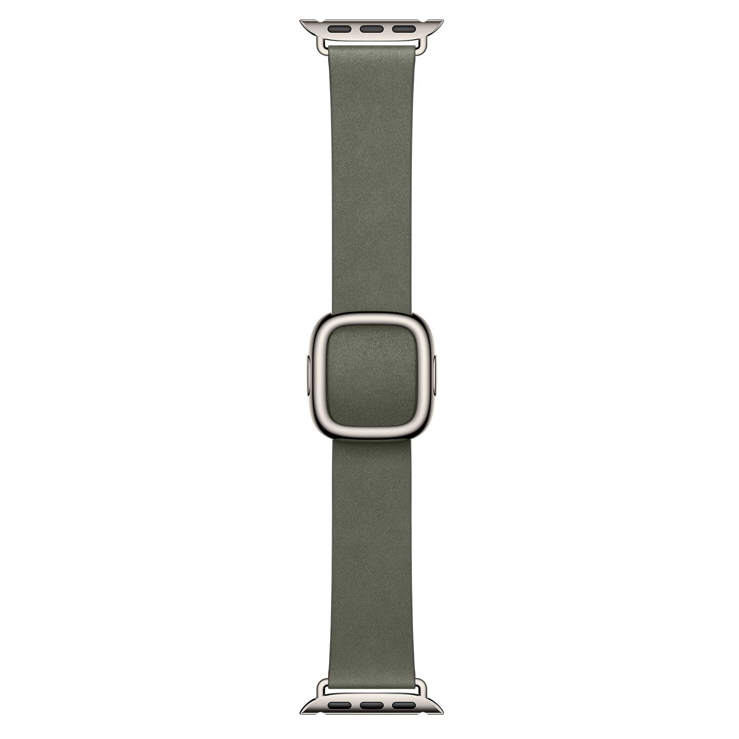 Apple 42mm Sage Gray Modern Buckle - Small