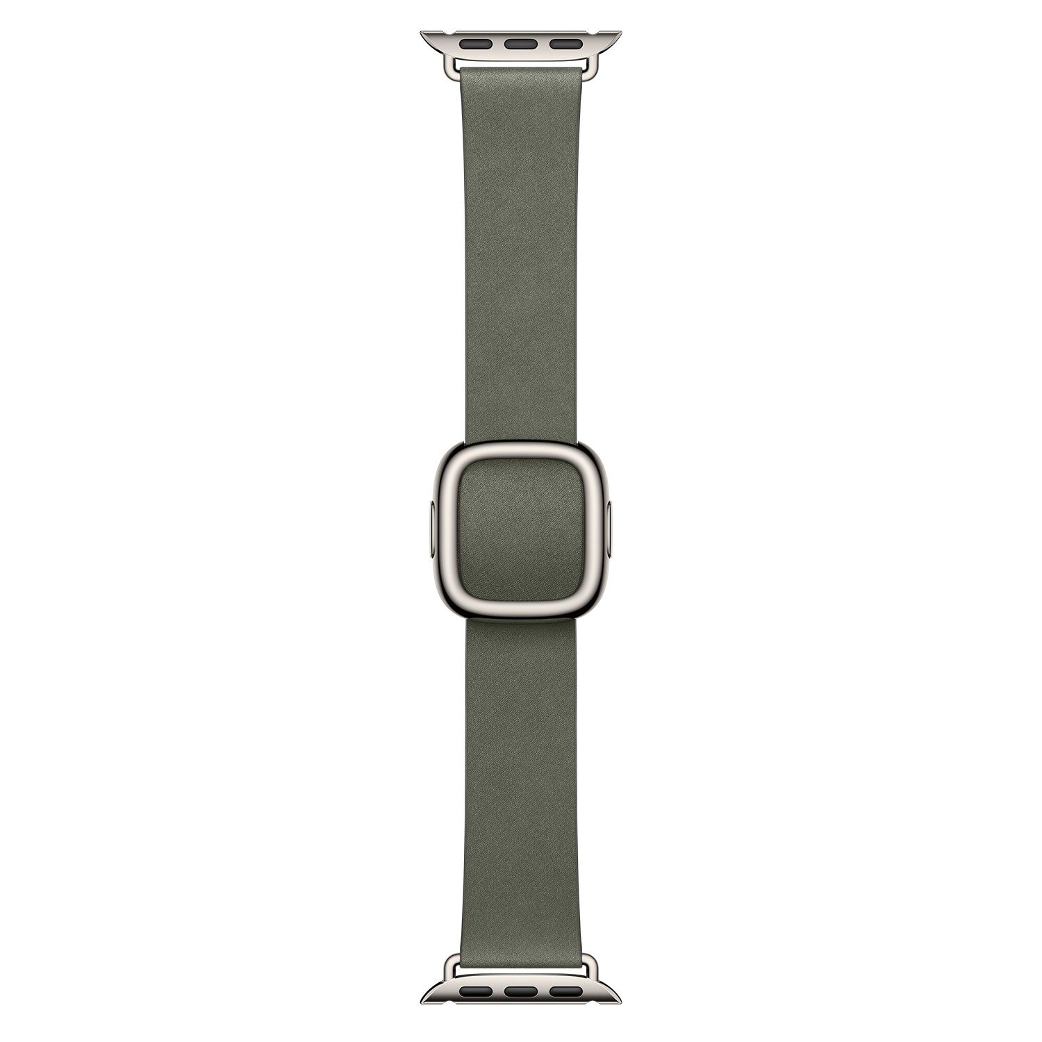 Apple 42mm Sage Gray Modern Buckle - Large