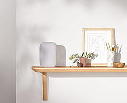 Google Nest Audio Colors