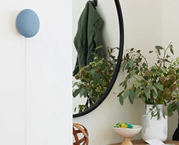 Google Nest Mini Colors