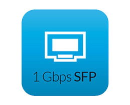 1G SFP Ports