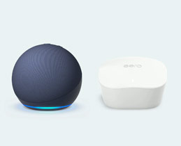 Echo Dot + eero wifi router