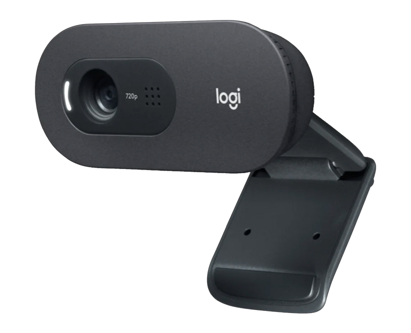Web Camera Logitech C505 HD