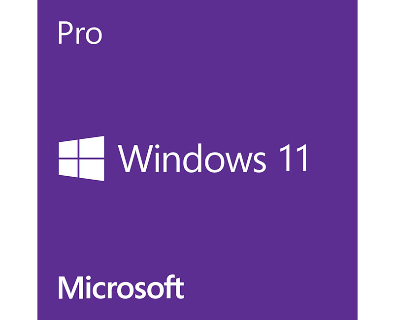Windows 11 Pro 64-bit EN