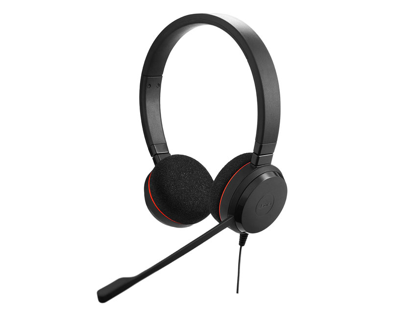 Jabra Evolve 20 Professional Headset